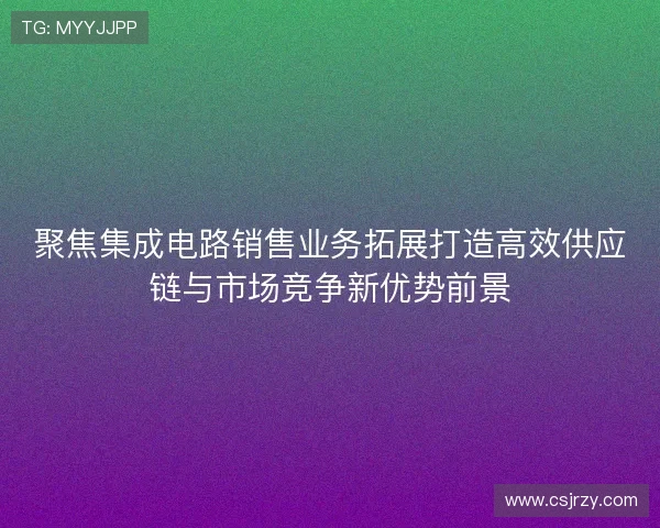 聚焦集成电路销售业务拓展打造高效供应链与市场竞争新优势前景